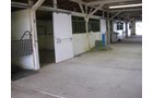 Property photo 43 - 80 Acres Offered in 4 Tracts - Horse Farm